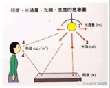 文章附圖
